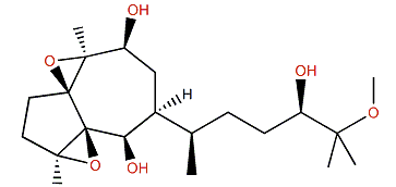 Dictyol L